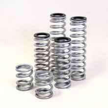 Load image into Gallery viewer, Dual Rate Springs Kit | Polaris RZR 900 Trail 50 Inch