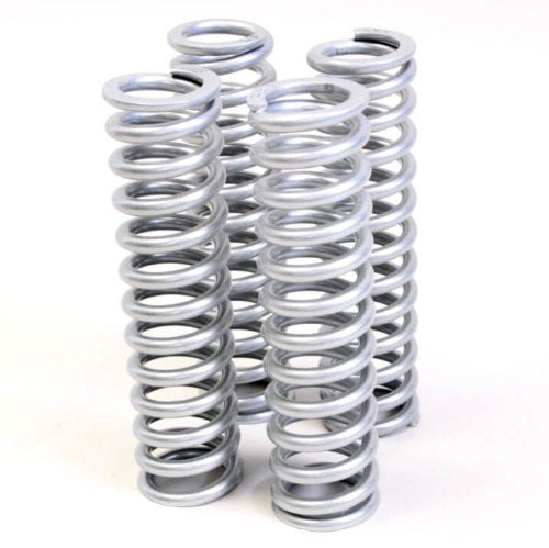 Replacement Springs - Standard Rate | Polaris RZR 800 S (Sachs)