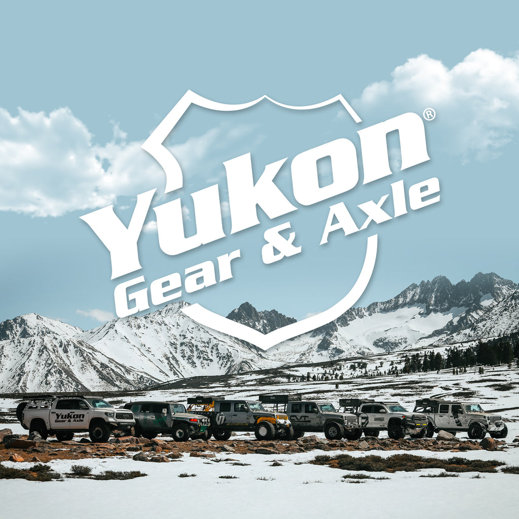 YK F9.75-B  Yukon Master Overhaul kit for '00-'07 Ford 9.75" differential